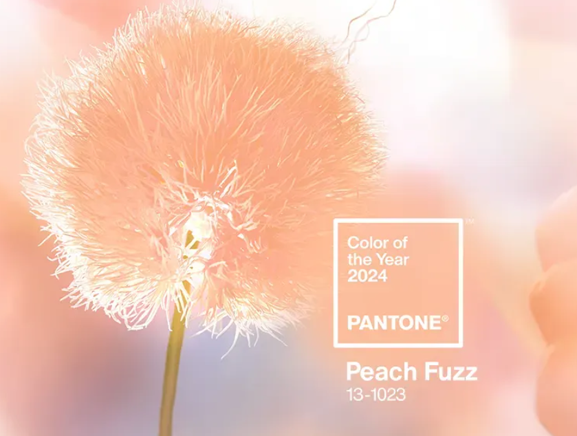 Creating Cosy Spaces: New Colour of the Year - Peach Fuz